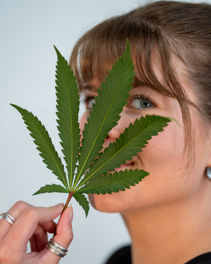 Carbon Cannabis Lifestyle
