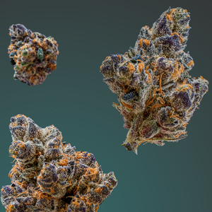 Carbon Cannabis THCa Flower Nuggets