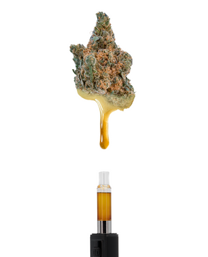 Carbon Cannabis Rosin & THCa Flower